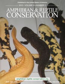 ARC Giant Salamander Issue